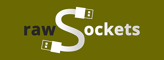 如何使用raw socket发送UDP报文