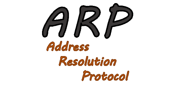 接收arp请求并发送回应的实例