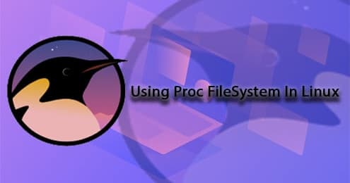 从proc文件系统中获取gateway的IP地址